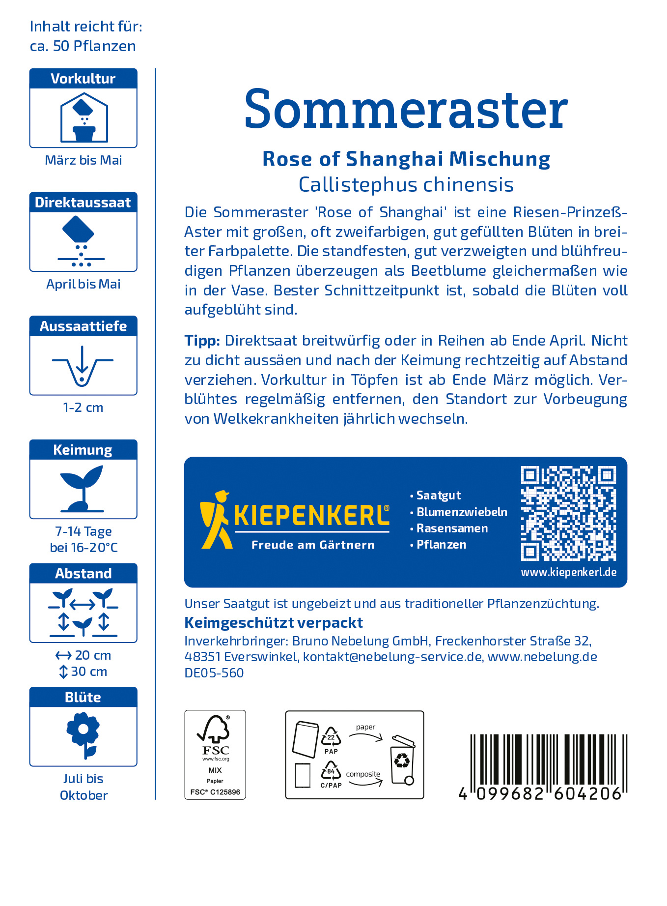 Sommerastersamen Rose of Shanghai Mischung