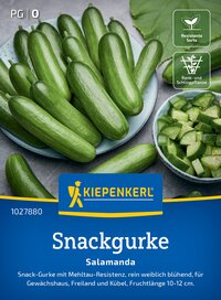 Grüne Snackgurken in Schüssel, ein Stück Gurke ist geschnitten, neben einem großen Blatt.