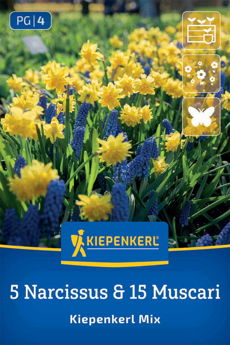 Blumenzwiebelmischung Kiepenkerl Mix