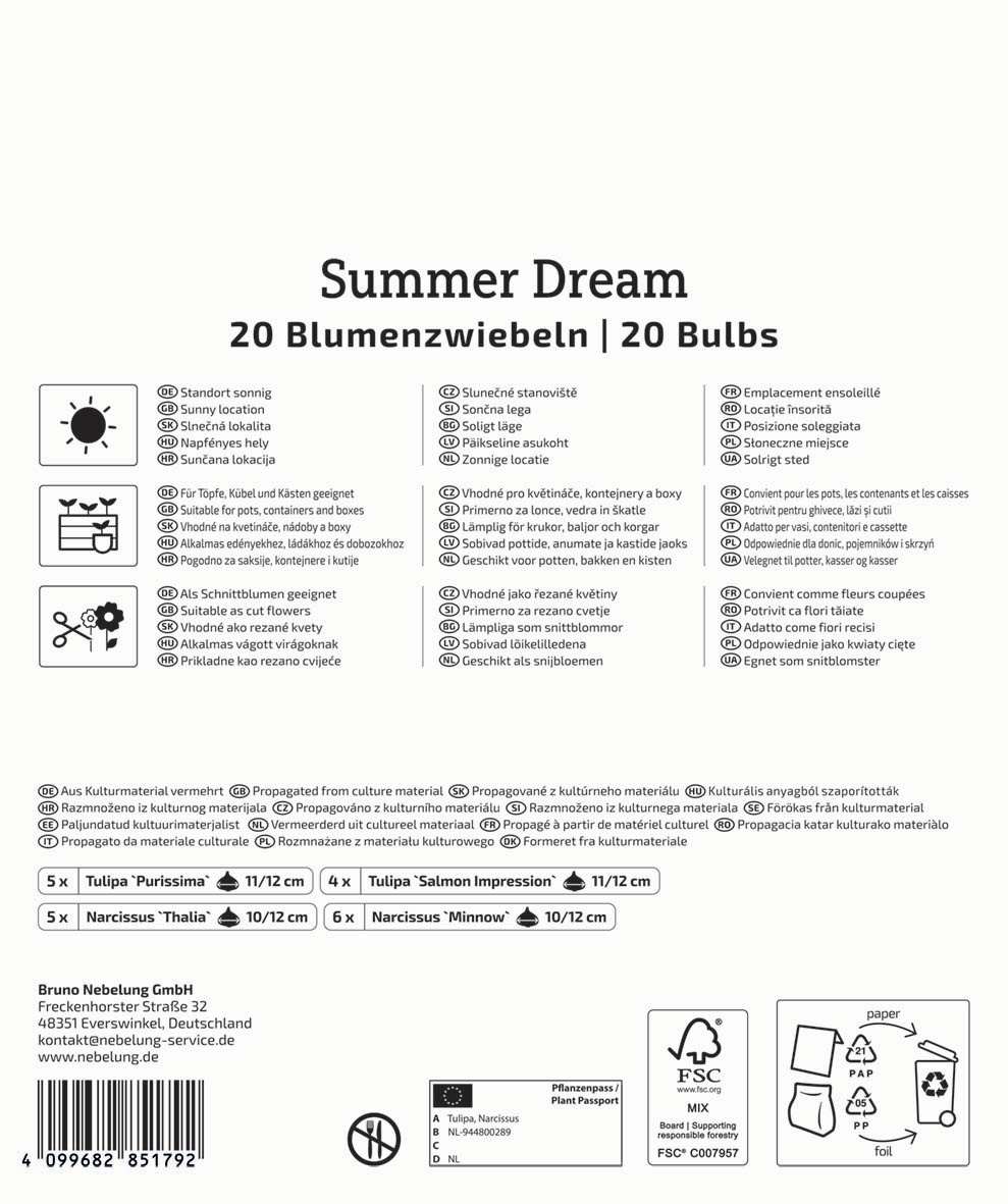 Mega-Pack Blumenzwiebelmischung Summer Dream Mix