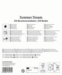 Mega-Pack Blumenzwiebelmischung Summer Dream Mix
