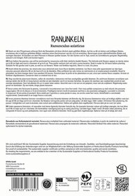 Seite mit Beschreibung und Pflegeanleitung für Ranunkeln in mehreren Sprachen, Logo und Barcode am unteren Rand.