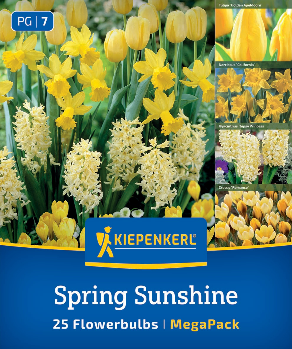 Mega-Pack Blumenzwiebelmischung Spring Sunshine Mix