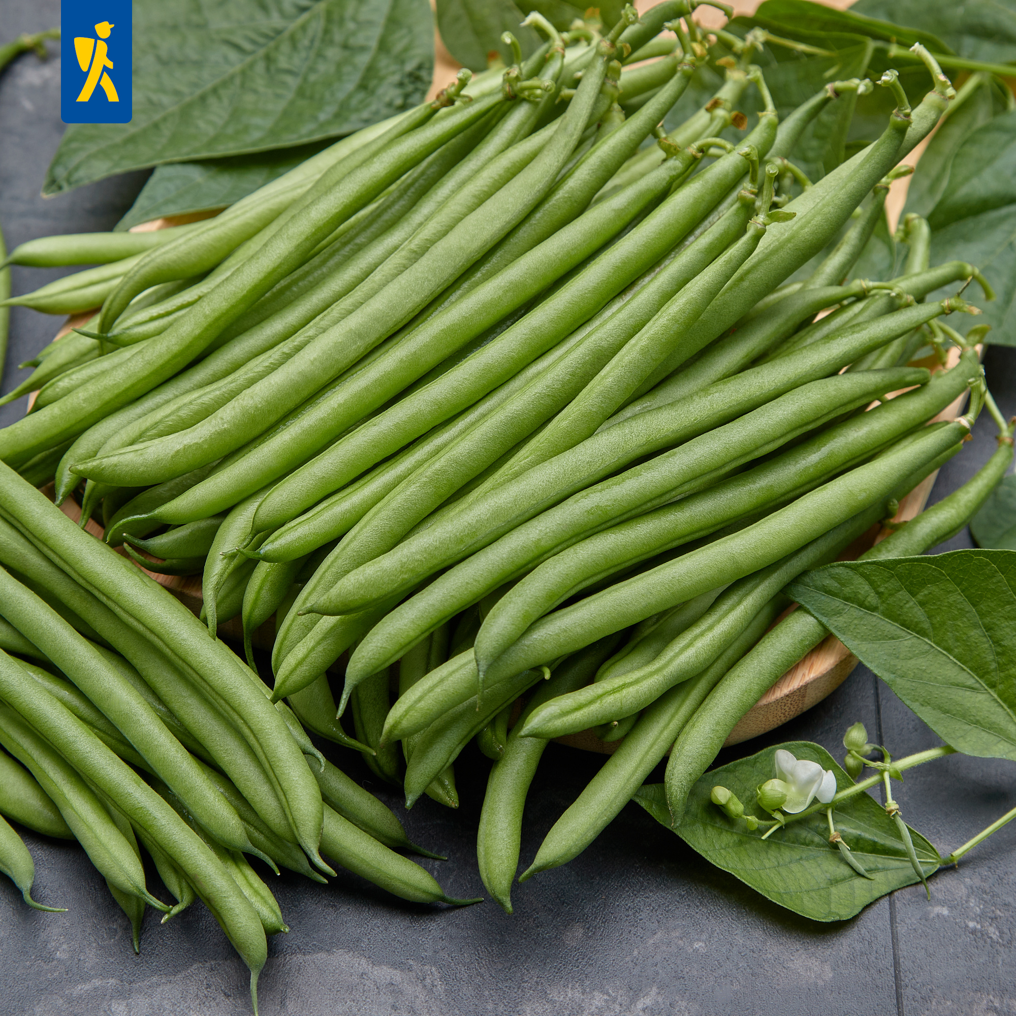 BIO Buschbohne Maxi