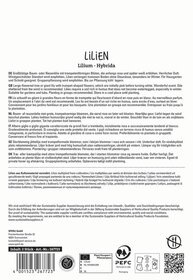 Text auf einer Verpackung mit Informationen zu Lilien, Entwicklung, Pflege und Zertifizierungen.