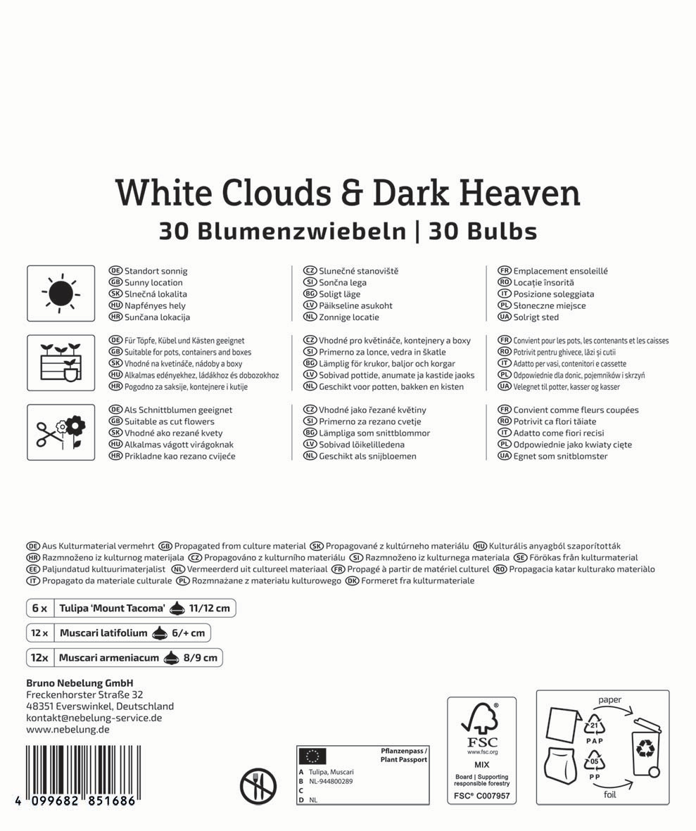 Mega-Pack Blumenzwiebelmischung White Cloud & Dark Heaven Mix