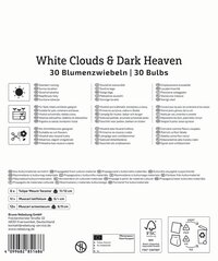 Mega-Pack Blumenzwiebelmischung White Cloud & Dark Heaven Mix