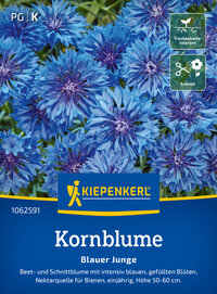 Kornblumensamen Blauer Junge