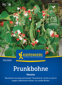 Prunkbohnensamen Hestia
