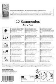 Ranunkeln Aviv Rot