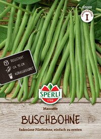 Buschbohnensamen Mascotte