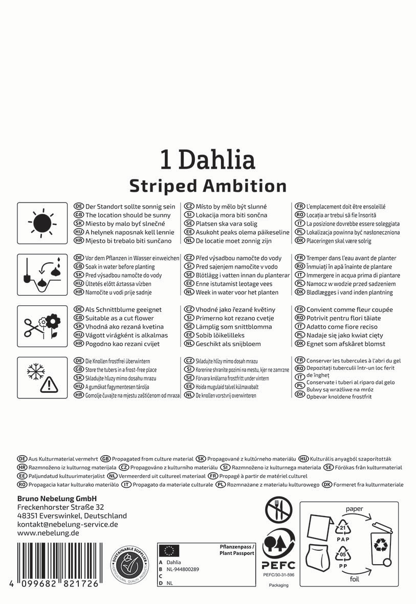 Anleitung für Dahlia Pflanzung mit Symbolen für Standort, Wasser, Schnitt, Blüte, Frostschutz und Recycling.
