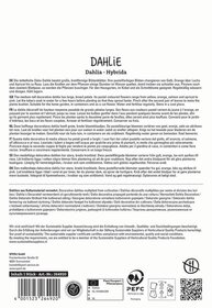 Text auf weißen Hintergrund mit schwarzen Buchstaben, Beschreibung der Dahlien und Herstellungsinformationen.