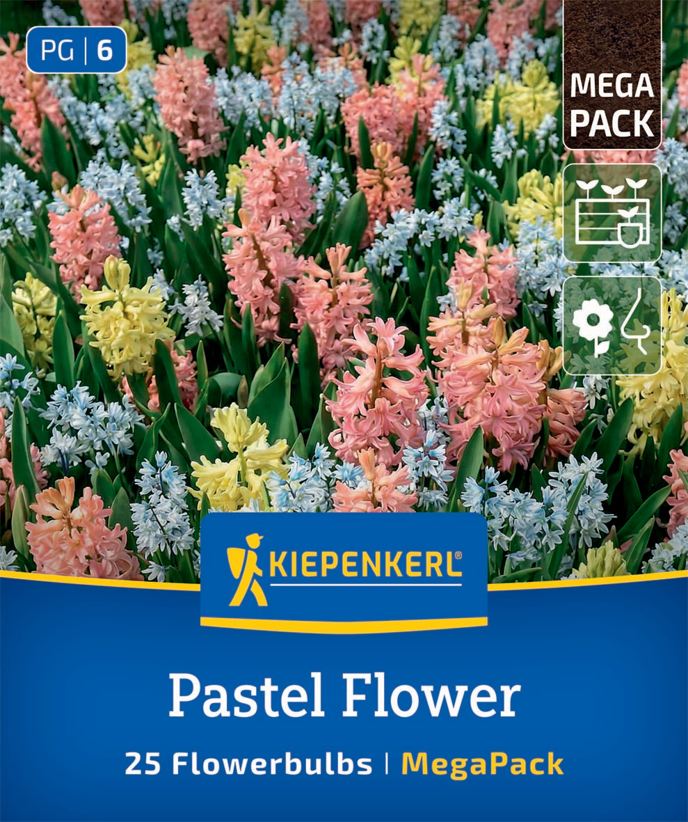 Mega-Pack Blumenzwiebelmischung Pastel Flower