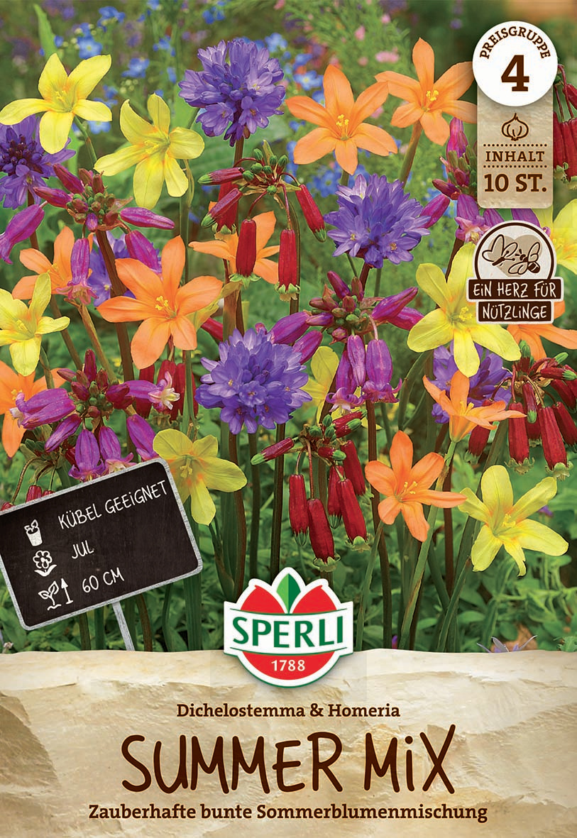Bunte Sommerblumen mit gelben, orange, lila und roten Blüten vor grünem Hintergrund.