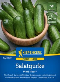 Grüne Mini-Gurken in einer Holzschüssel mit grünen Blättern.