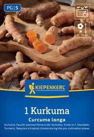 Mehrere frische Kurkuma-Wurzeln auf Holzbrett, einige geschnitten, mit Symbolen für Anbau und Pflanze.