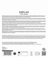 Produktbeschreibung "PURPLE MIX Dahlia Hybrida" mit mehreren Sprachen, Icons, Barcode und Zertifizierungen.