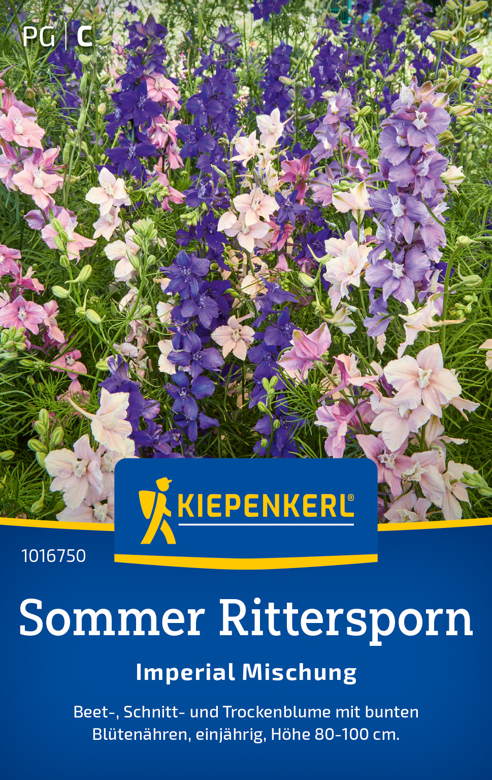 Sommer-Ritterspornsamen Sommer Mischung
