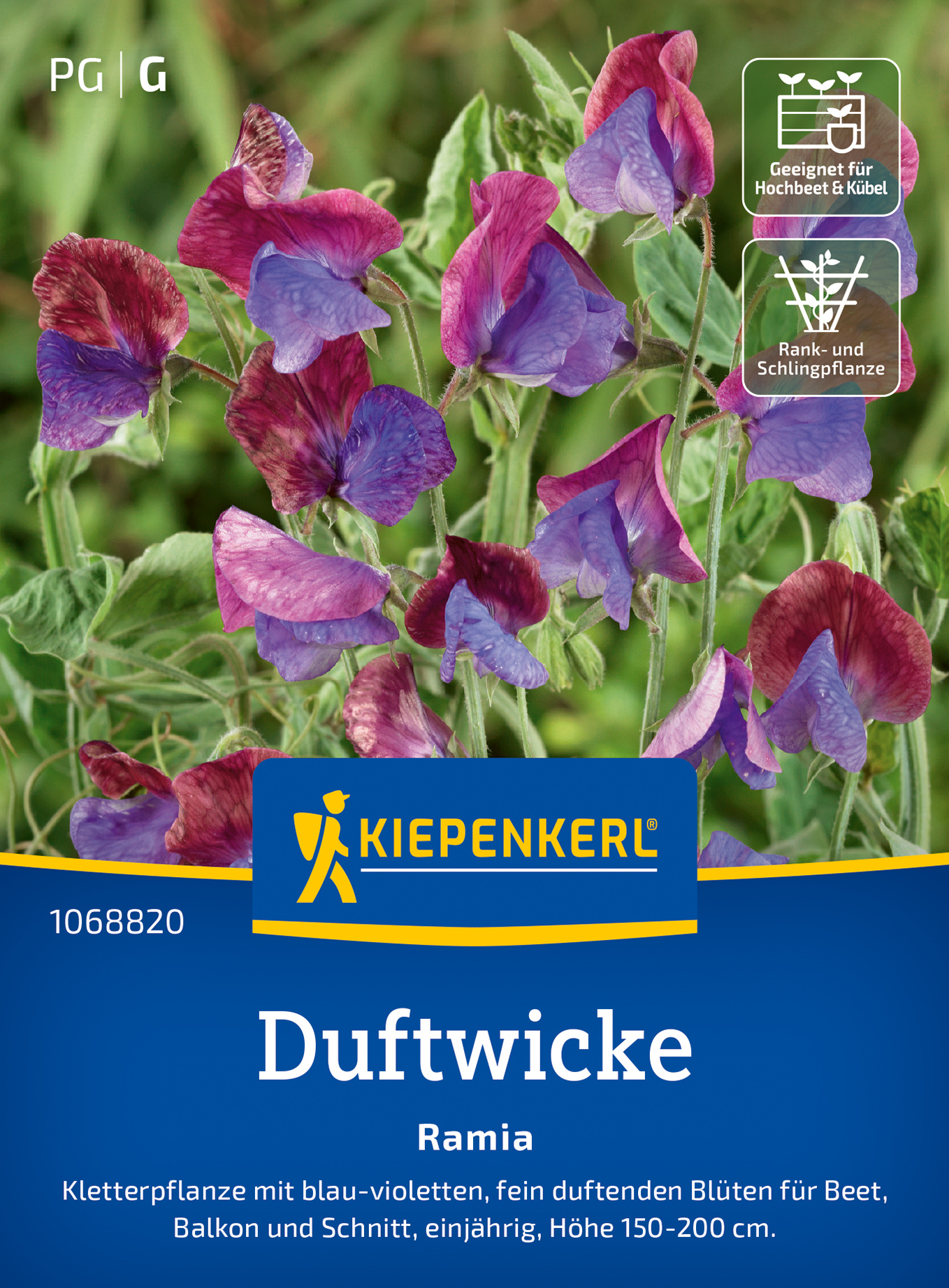 Duftwickensamen Ramia