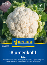 Blumenkohlsamen Balak, F1