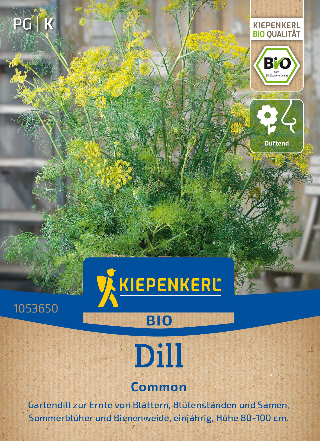 BIO Dillsamen Einjähriger