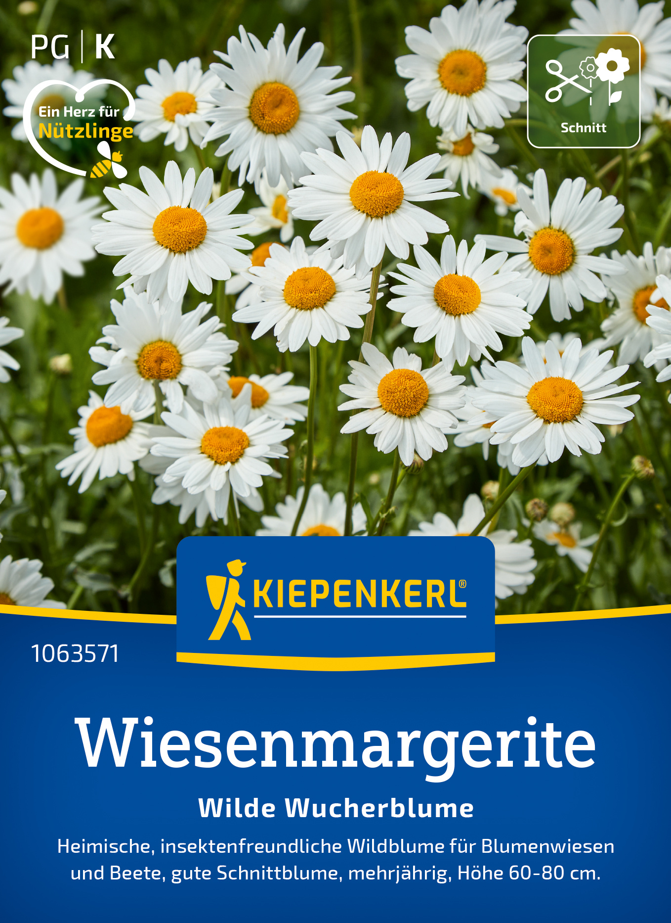 Weiße Margeriten mit gelben Staubblättern auf grünem Feld, Pflanzenetikett und Markenlogo sichtbar.