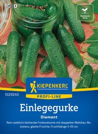 Grüne Gurken auf rotem Stoff, mit Glasgefäß und Kakaoschoten im Hintergrund.