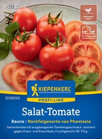 Tomatensamen kaufen: Saatgut in Spitzenqualitt