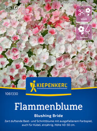 Flammenblumensamen Blushing Bride