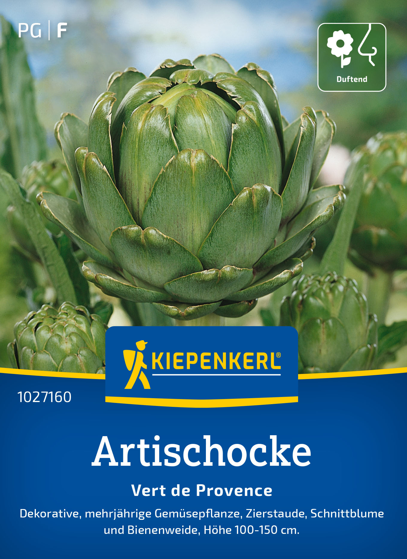 Artischockensamen Vert de Provence