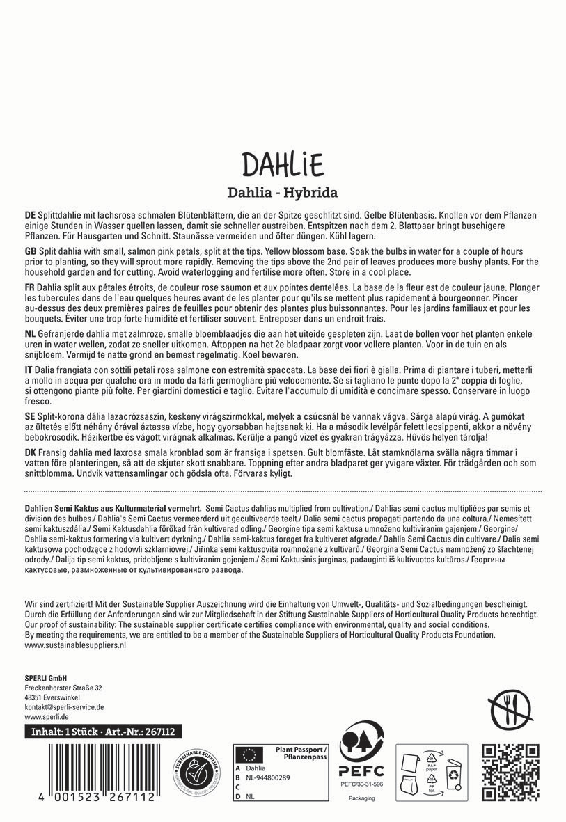 Text auf Verpackung mit deutschen, englischen, französischen, niederländischen, italienischen und schwedischen Beschreibungen der Dahlia Hybride.