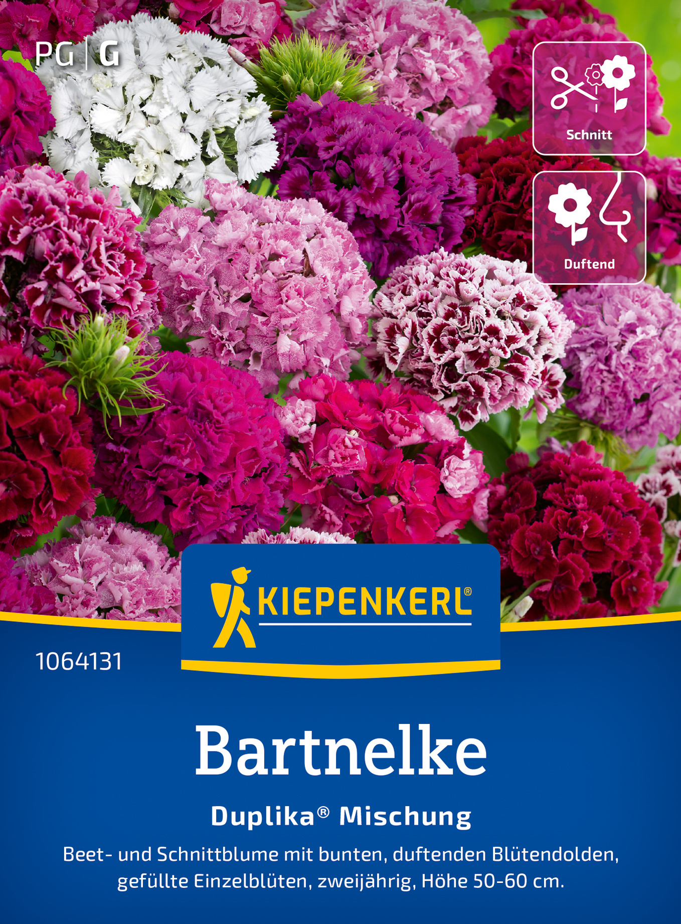 Bartnelkensamen Duplika® Mischung