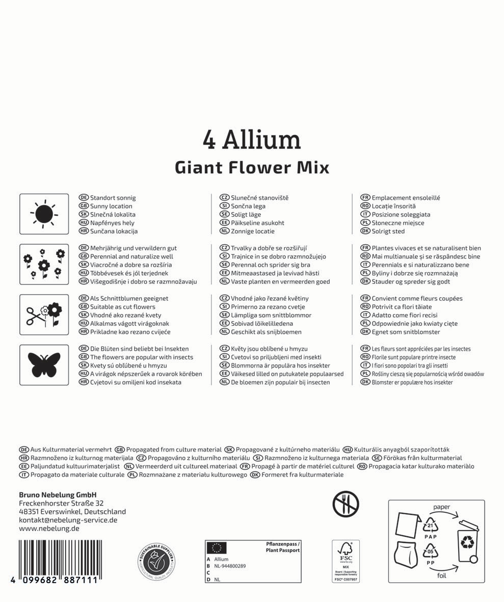 Mega-Pack Zierlauch Großblumige Allium Mischung