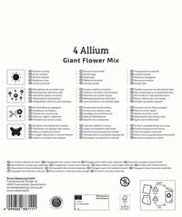 Mega-Pack Zierlauch Großblumige Allium Mischung