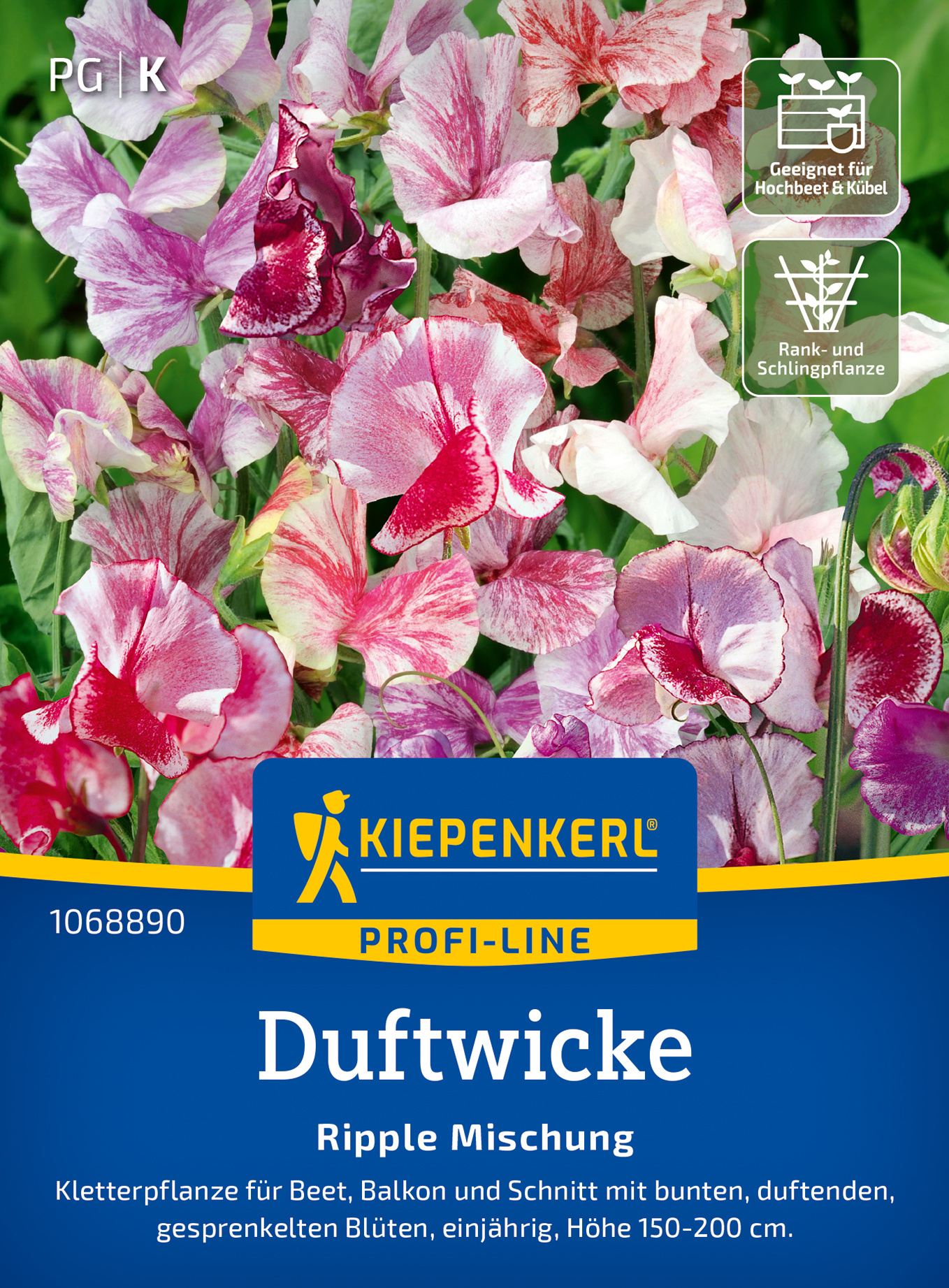 Duftwickensamen Ripple Mischung
