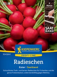 Rote Radieschen mit grünen Stielen auf der Verpackung, Nähe eines Messbands, im Hintergrund Erde.