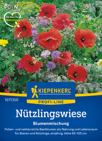Bunte Blumen, inklusive Mohn und Kornblumen, auf einem Beet.