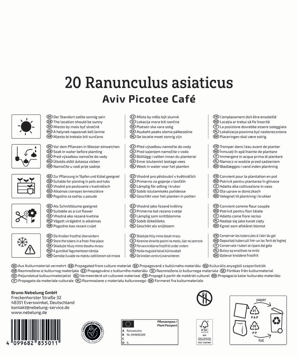 Text in multiple languages describing the suitability, planting instructions, and care tips for Ranunculus asiaticus.