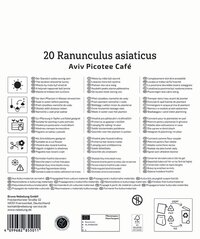 Text in multiple languages describing the suitability, planting instructions, and care tips for Ranunculus asiaticus.
