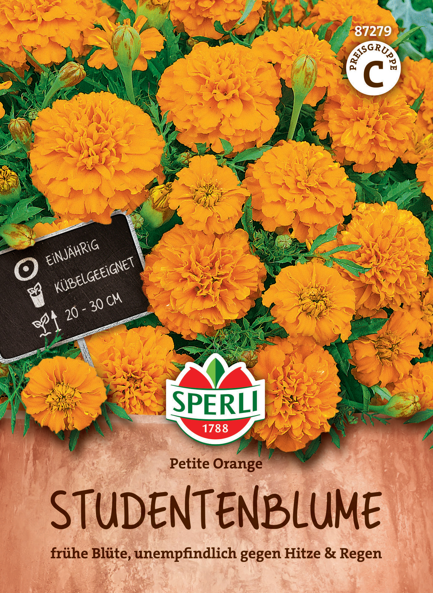Studentenblumensamen Petite Orange