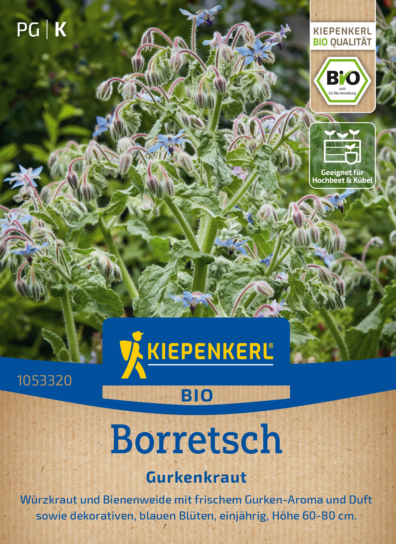 BIO Borretschsamen Gurkenkraut