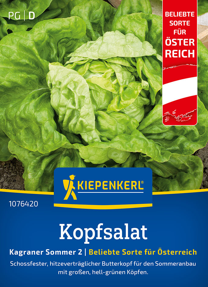 Kopfsalatsamen Kagraner Sommer 2 
