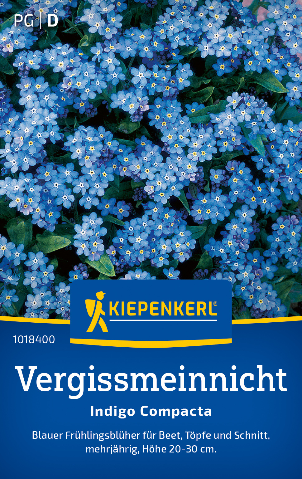 Blauer Frühlingsblüher mit kleinen blauen Blüten und gelben Mitte, für Beete, Töpfe, Schnitt, mehrjährig, Höhe 20-30 cm