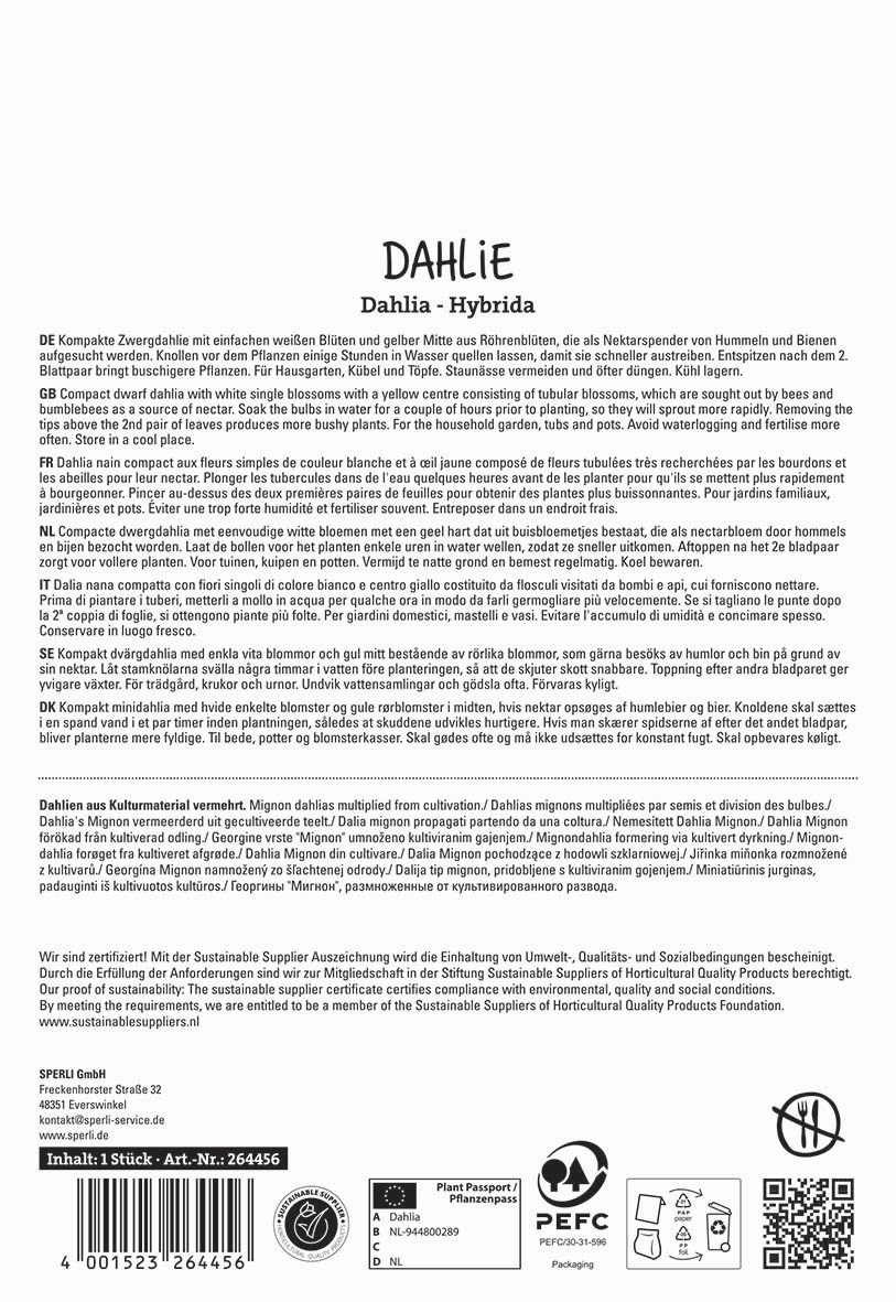 Text mit Produktbeschreibung und Pflegehinweisen für eine Dahlie im Mehrsprachigen.
