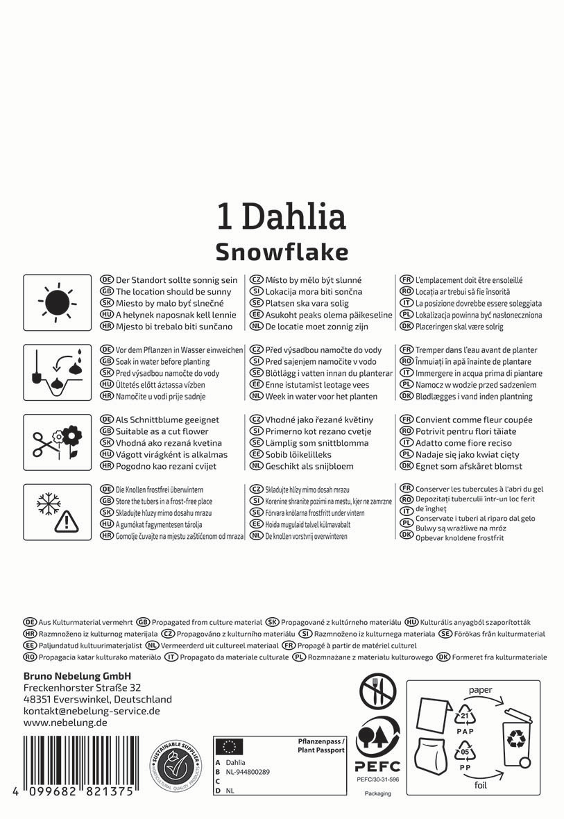 Anleitung für Dahlia Snowflake mit Symbole und Texten in mehreren Sprachen, Hinweise zur Pflege und Verpackung.