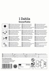 Anleitung für Dahlia Snowflake mit Symbole und Texten in mehreren Sprachen, Hinweise zur Pflege und Verpackung.