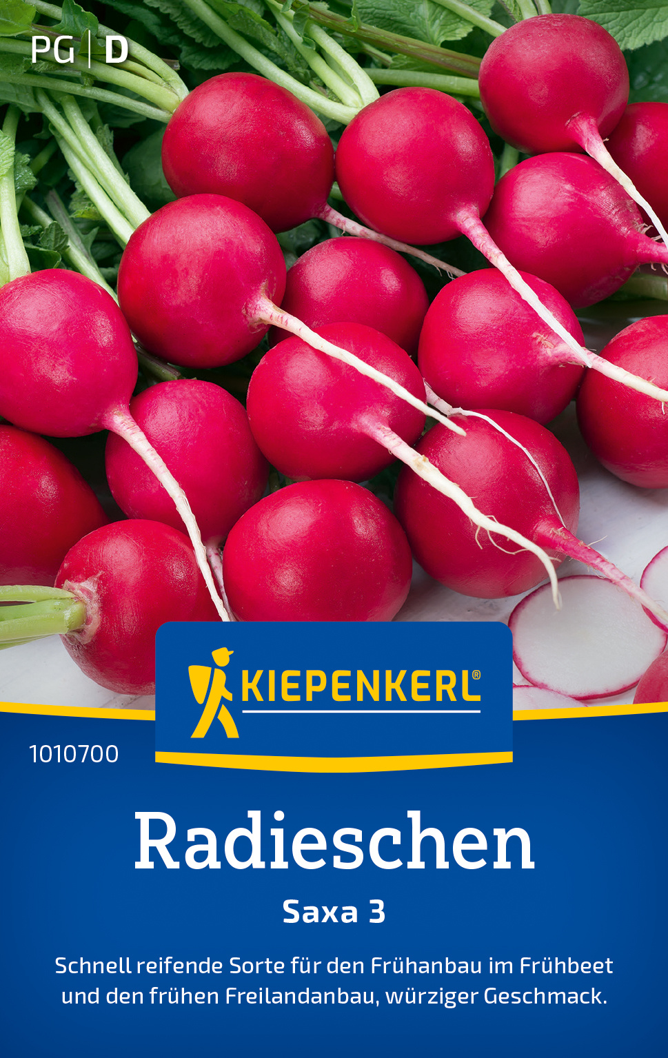 Radieschensamen Saxa 3