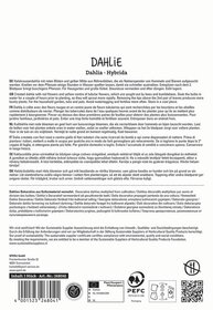 Karten mit Beschreibung der Dahlie, deutsche, englische, französische, niederländische und italienische Texte, Logos und Barcode.
