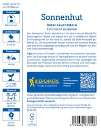 Sonnenhut mit rotem Leuchtstern, Blüten auf stabilen Stielen, Karte mit Pflanzinformationen